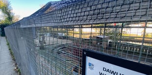 Dawlish aviary faces bird culling after avian flu outbreak
