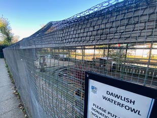 Dawlish avian flu zone lifted