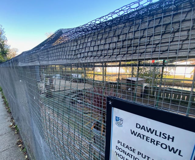 Dawlish aviary faces bird culling after avian flu outbreak