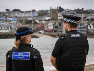 Public support force continuing as a single force, survey finds 