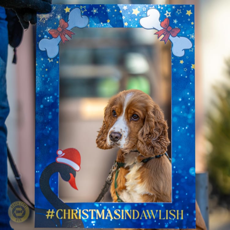 Dog and human Christmas selfie boards are new to Dawlish Christmas festivities. Photo Dawlish Chamber of Trade