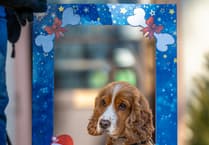 Dawlish embraces festive cheer with selfie boards.