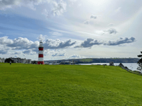 Uniting city rivals could be key to new Devon council structure