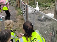 Nursery children explore farming 