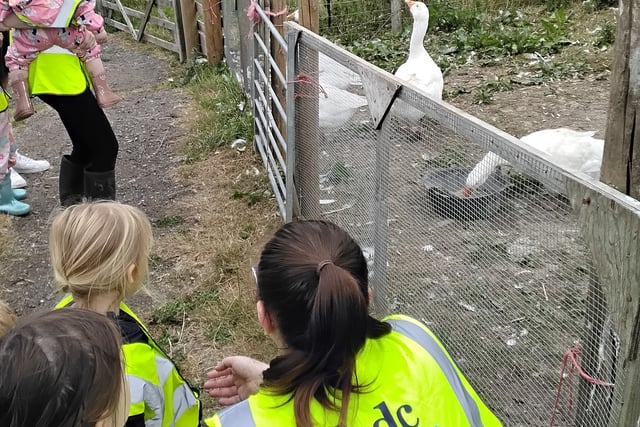 Nursery children explore farming 