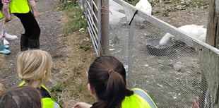 Nursery children explore farming 