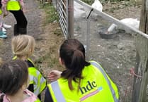 Nursery kids explore farming fun