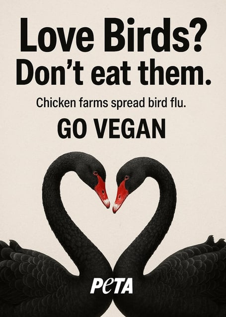 PETA'S proposed billboard for Dawlish.