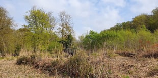 Developers pledge over ‘priceless’ Newton Abbot nature site