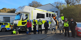 Devon police educate drivers on passing horses safely