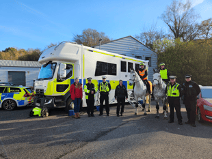 Devon police educate drivers on passing horses safely