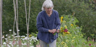 Adults transforming career prospects with free skills training