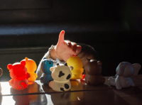 Free vitamins at library to help boost health