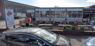 Cafe owner’s cunning plan to foil greedy gulls