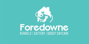 Parvovirus outbreak at Kingskerswell kennels