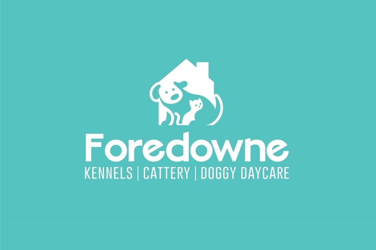 Foredowne Kennels confirms outbreak of virus among stray dogs. 
