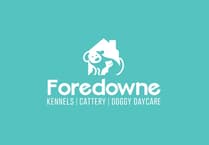 Canine parvovirus strikes Kingskerswell kennels