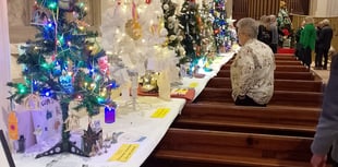 Dawlish Christmas Tree Festival opens