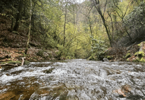 Council considers strengthened action on river protection