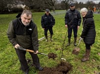 Mayor's tree planting celebrates Bloom success