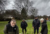 Mayor's tree planting celebrates Bloom victory