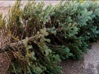 Essential Christmas Recycling Tips