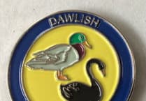 Navy veteran's Dawlish badge helps wildlife