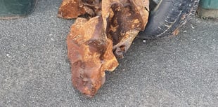 Dawlish Volunteers gather 18kg of beach waste