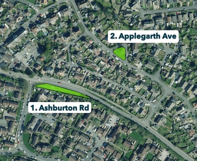 Plans to transform verges into wildflower havens