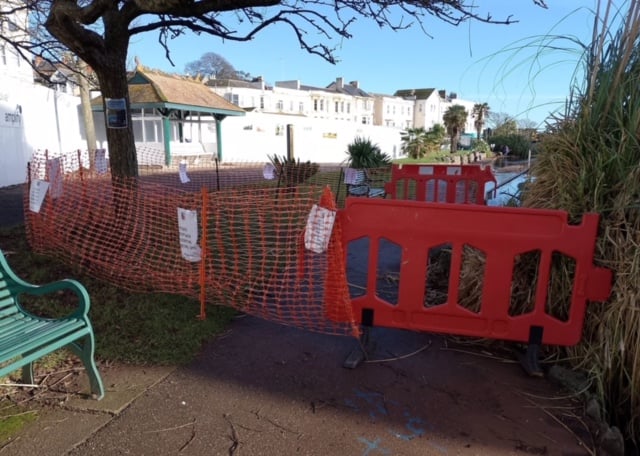 The nesting area in Dawlish has been cordoned off. Photo Noreen Goodchild