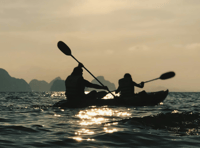 Help shape Teignbridge's wellbeing strategy