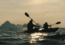 Help shape Teignbridge's wellbeing strategy