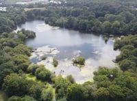 Teignbridge councillors defend woodland TPO