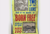 Rare cinema poster links hit film with Paignton project