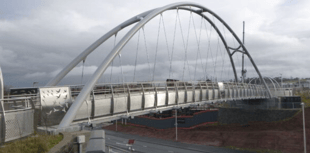 In Pictures: South Brent-based sculptor brings new bridge to life 