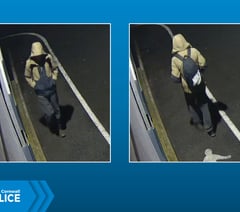 Police seek Buckfastleigh accident witness