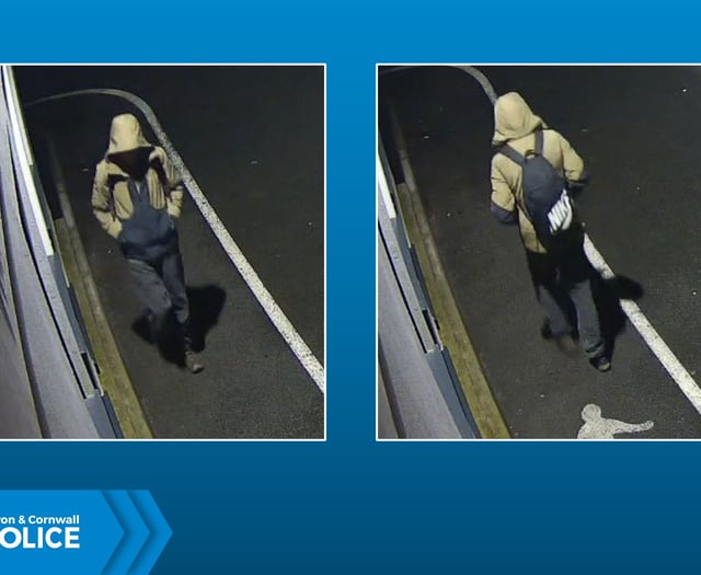 Police seek Buckfastleigh accident witness