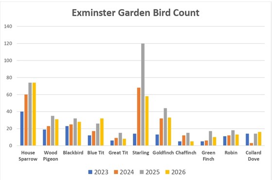 Exminster's count for the RSPB Big Garden Bird Count.  Photo Exminster Greenspaces
