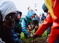 Charity urging landowners to collaborate for tree planting 