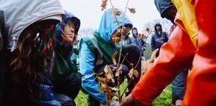 Charity urging landowners to collaborate for tree planting 