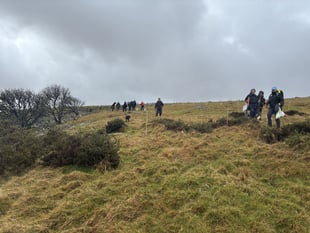 800 trees planted at Dartmoor reserve