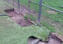 Help Foredowne Kennels renovate dog pens