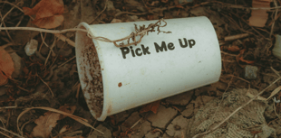 Volunteers needed for annual town clean up 