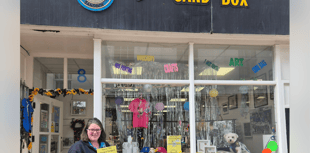 Harry the Seagull debuts in Teignmouth