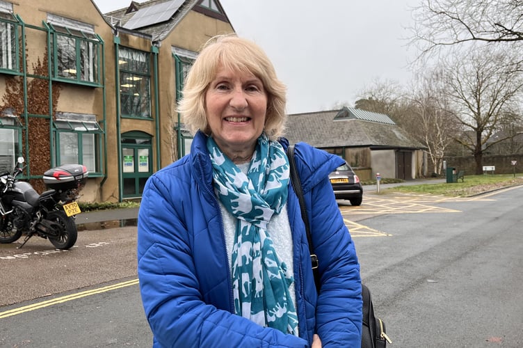 Teignmouth Lido campaigner Catherine Brown. Photo Guy Henderson 