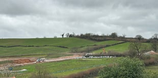 MP’s call for clarity over nature watchdog’s Wolborough choice