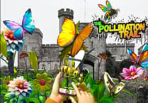 Explore AR wildlife trail at Powderham Castle