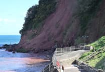 More cliff falls expected at Shaldon