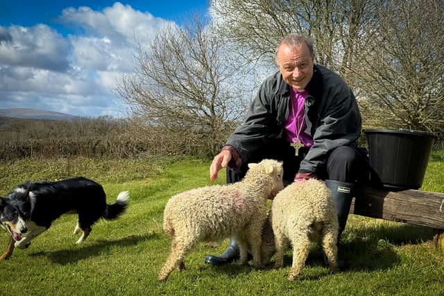 Signs of new life after death all around us, says Bishop of Exeter
