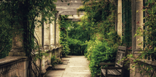 Hospice charity's 'Open Gardens' bloom again for 2026